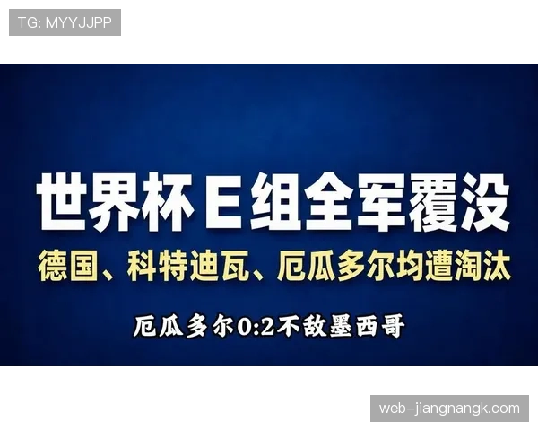 世界杯E组小组赛总结:三队晋级一队出局